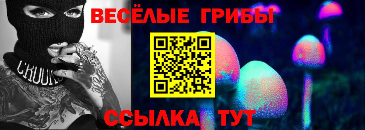 Галлюциногенные грибы Magic Shrooms Калач-на-Дону